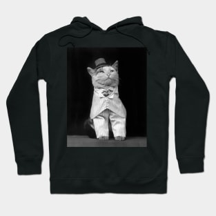 The Dapper Cat, 1906. Vintage Photo Hoodie